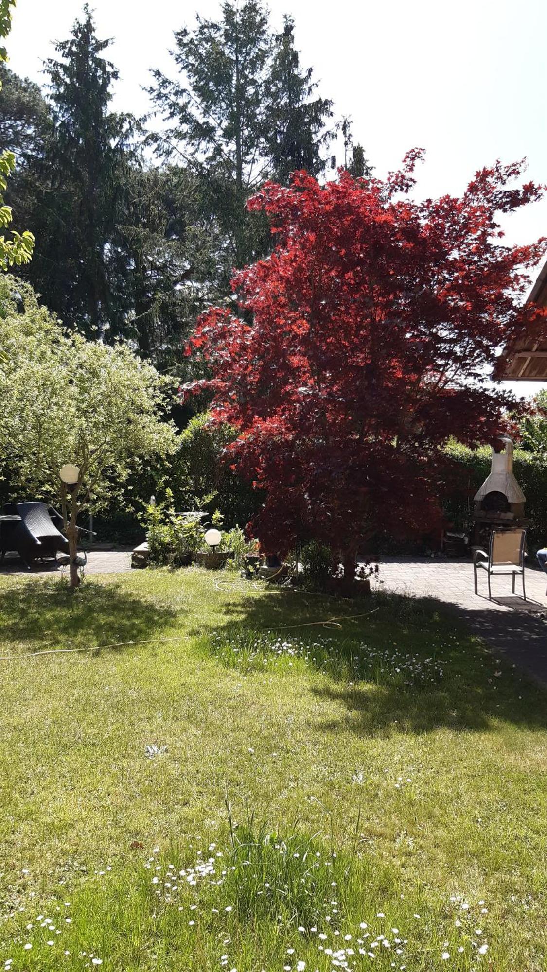 Ferienwohnung Luise, Gemuetlich, Freundlich Und Ganz Nah An Berlin Oranienburg Extérieur photo