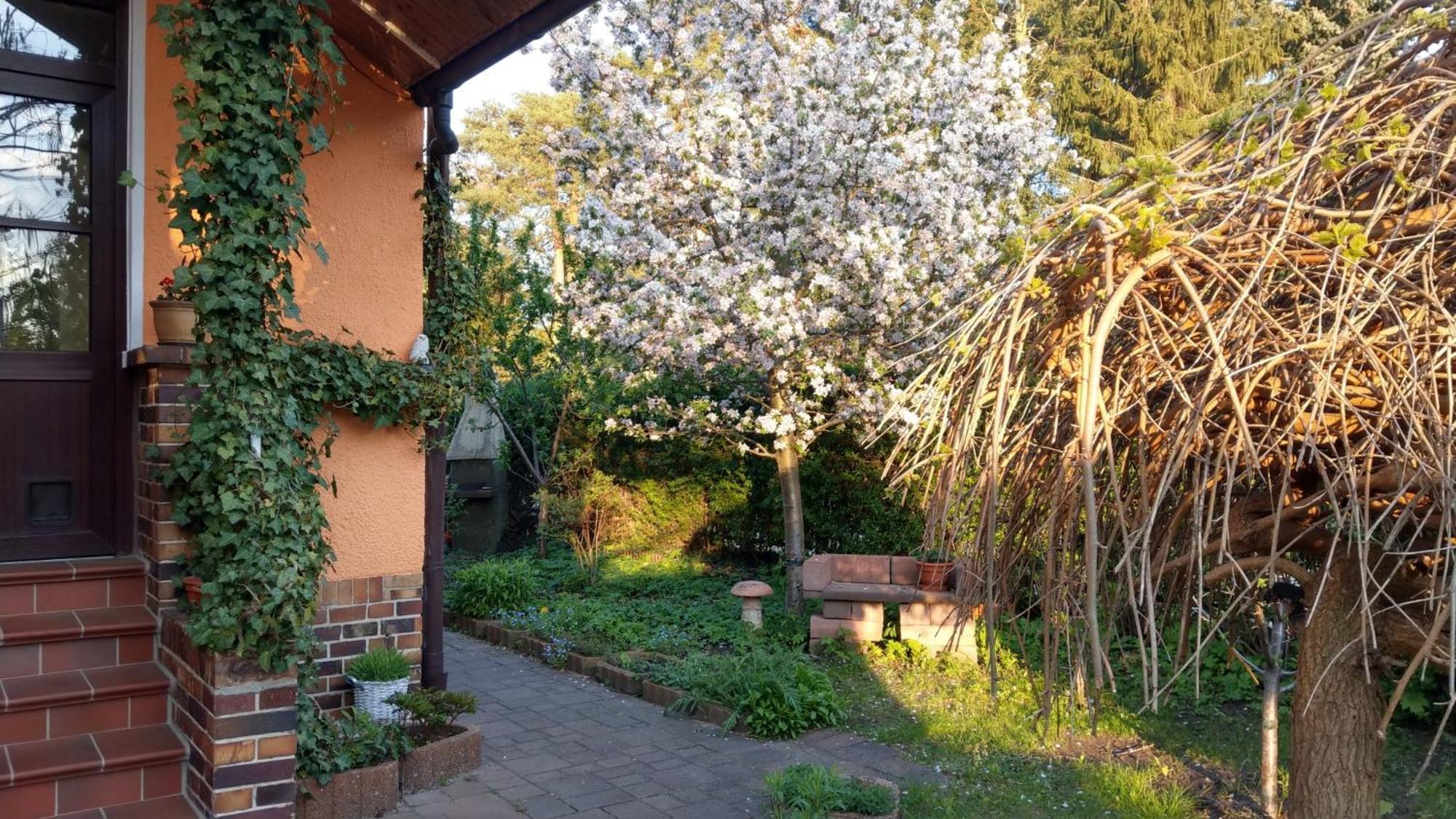 Ferienwohnung Luise, Gemuetlich, Freundlich Und Ganz Nah An Berlin Oranienburg Extérieur photo